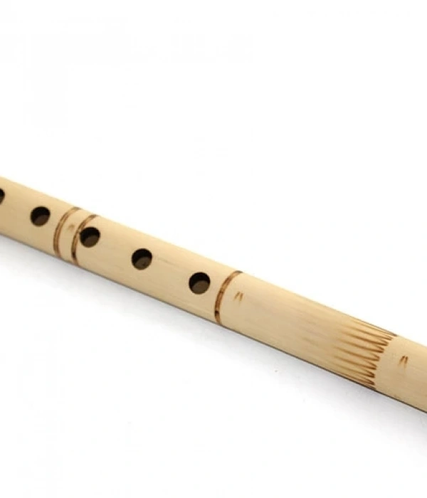 Bambu Filüt 30 Cm Repot-6