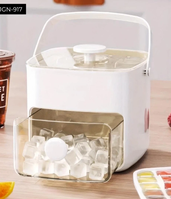 Buz Kalıp Ve Saklama Kutusu