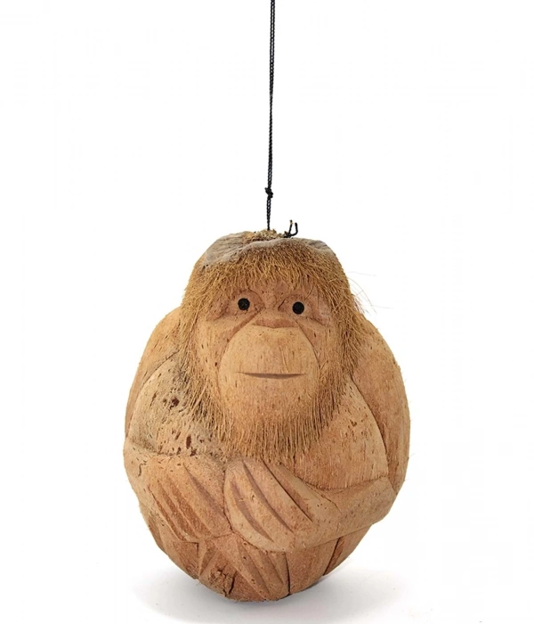 Coconat Maymun Büstü 3marakas-7