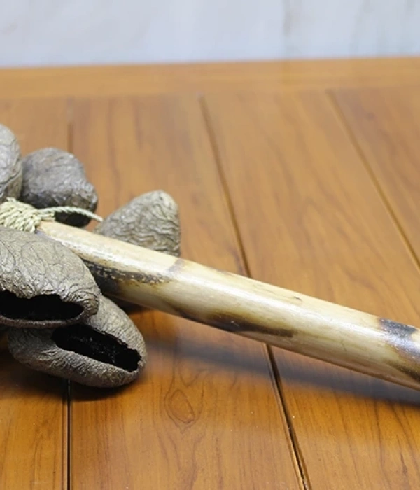 Coconat Sarkaçli Marakas Dıarta:2