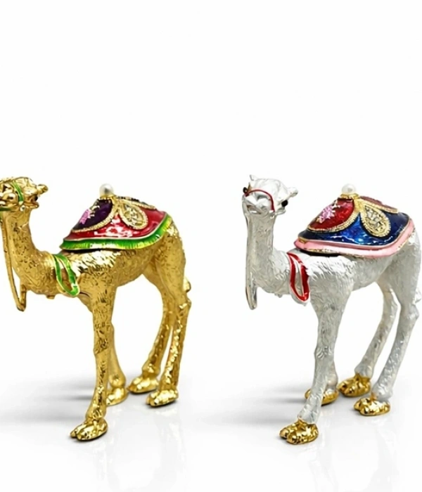 Dekoratif Deve Takı Kutusu Aalk124