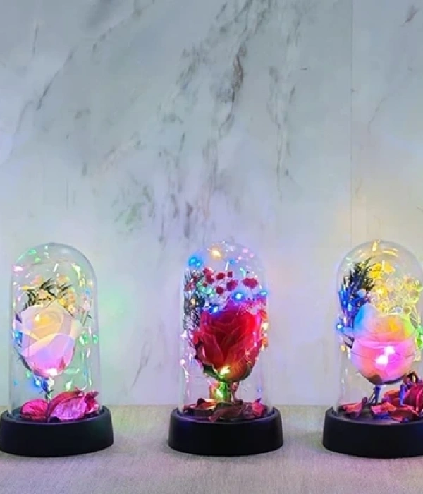 Işıklı Müzikli Romantik Büyük Gül  Alk4998