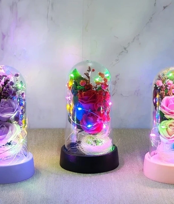 Işıklı Müzikli Romantik Fanus Tekli Gül Alk5007