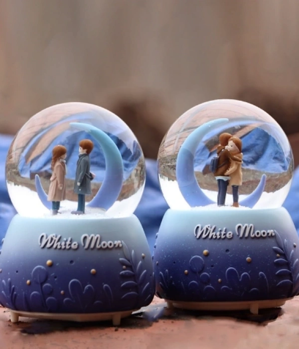 Kar Küresi Orta Boy Wy20k08