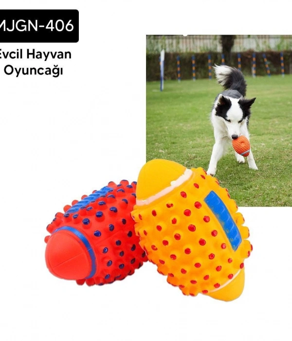 Kedi Köpek Amerikan Topu