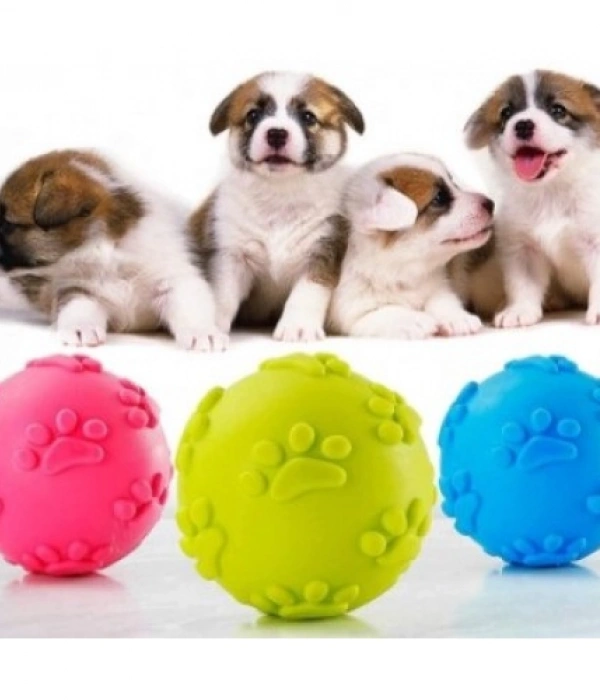 Köpek Isırma Topu Pati Desenli 1291