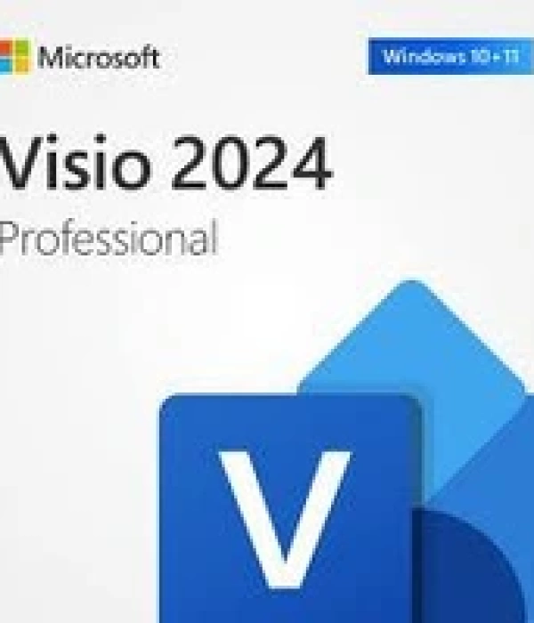 MİCROSOFT VİSİO STANDART 2024 - ESD EP2-07167