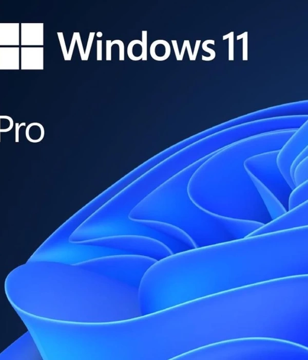 MS WINDOWS 11 PRO TR KUTU HAV-00159