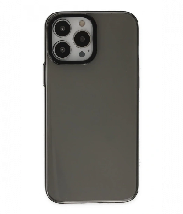 Newface iPhone 13 Pro Max Kılıf Anka PC Sert Metal Kapak