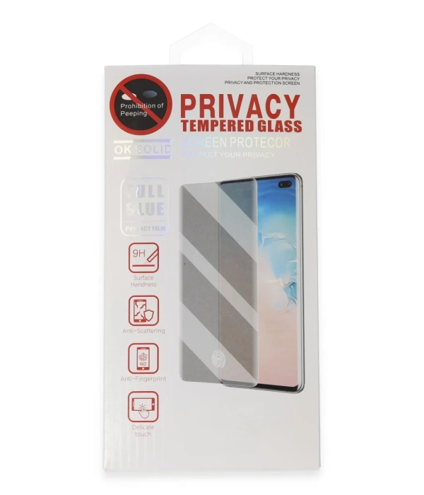 Newface Samsung Galaxy S22 Plus Hayalet Edge Cam Ekran Koruyucu