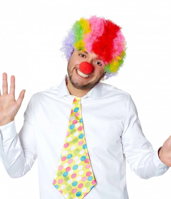 Rengarenk Kıvırcık Afro Bonus Peruk Ve Kırmızı Burun Seti