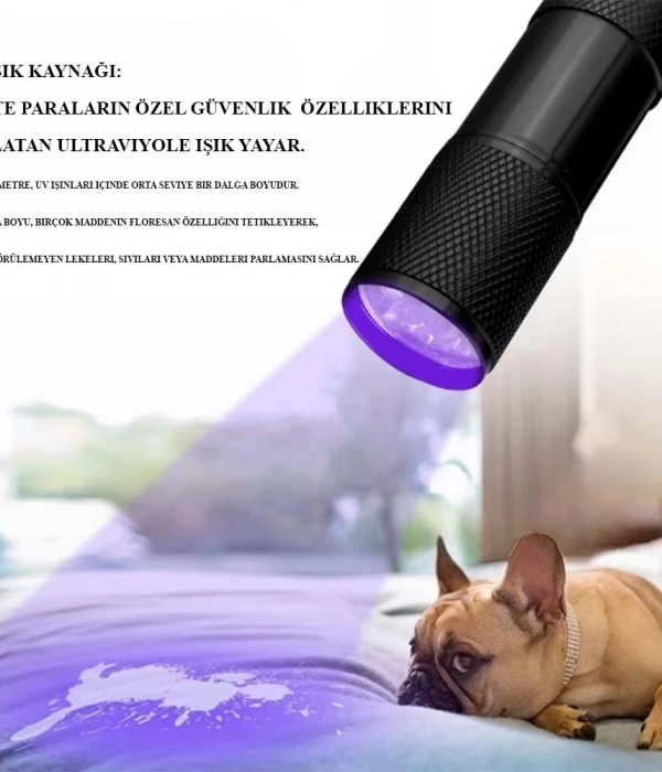 Sahte Para Işığı Ultraviole  Wt-302