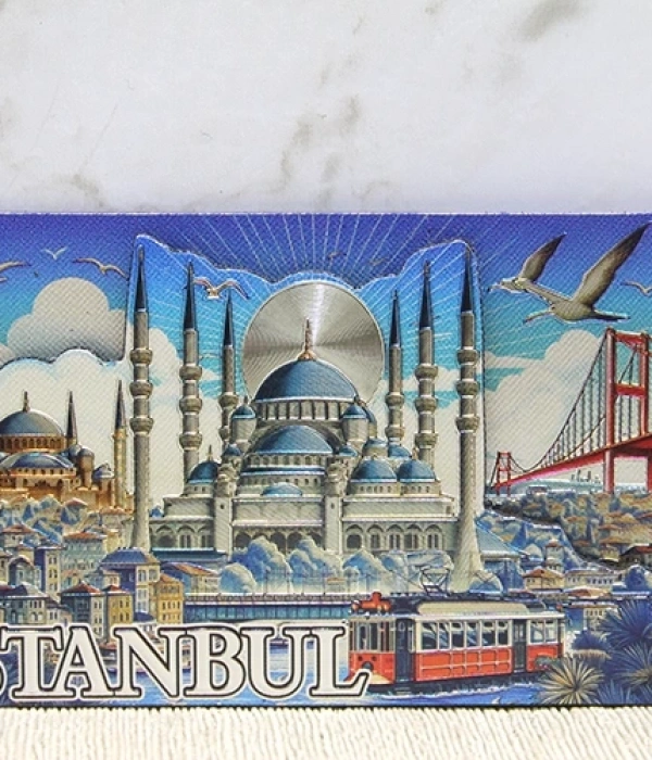 Silikon İstanbul Temalı Magnet Alk4348