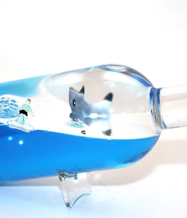 Şişe İçinde Batmayan Gemi Alk3204