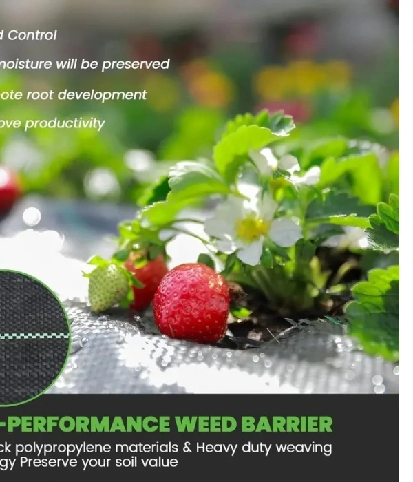 Yabani Ot Bariyer Matı