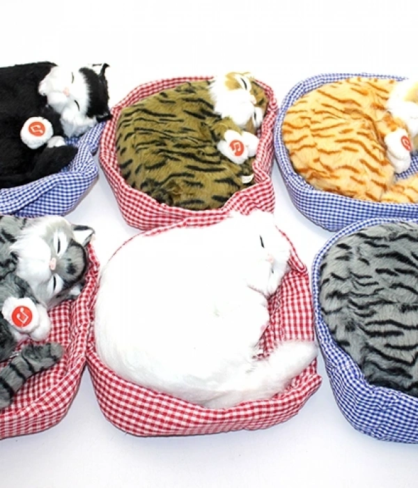 Yastıkda Uyuyan Horlayan Kedi Sesli Alk3416