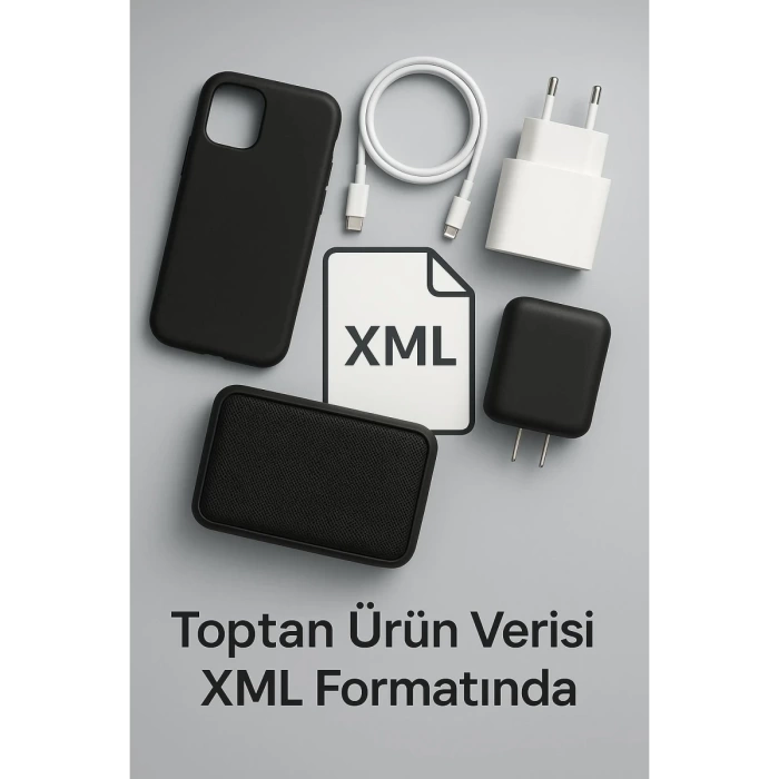 1 YILLIK ONLİNE ÇIKTI HİZMETİ/XML