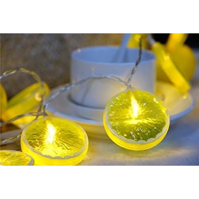 2m 10 Led Pilli 2 Kademeli Limon Led Işık Mz-304