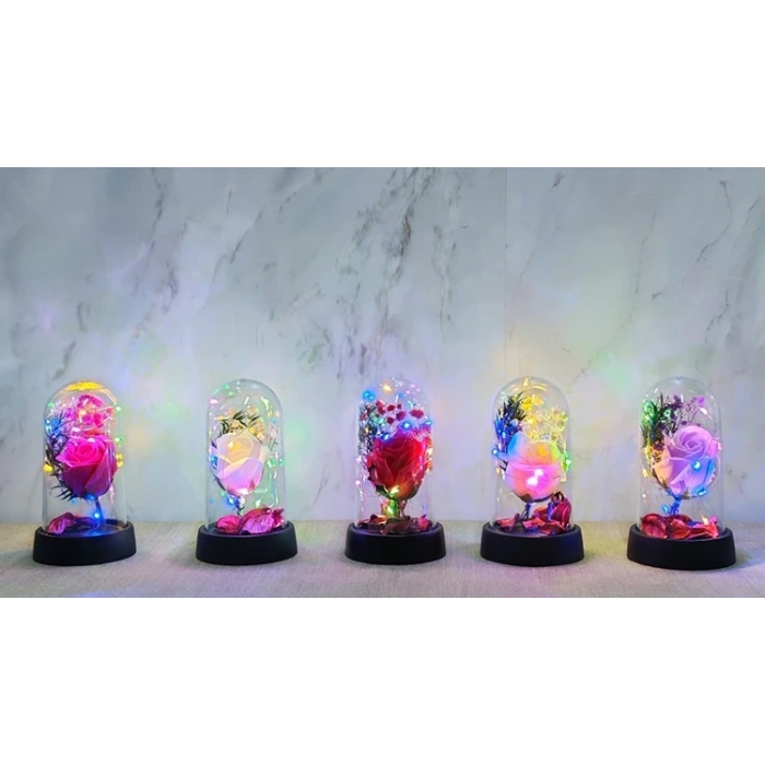 Işıklı Müzikli Romantik Büyük Gül  Alk4998