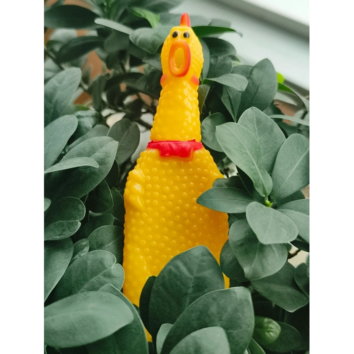 Lüks Basmalı Tarak Tüy Kesme Aparatı Çıglık Atan Ördek Oyun Topu 60 Yaprak Tüy Toplama Rulosu Pire Tarağı Seti