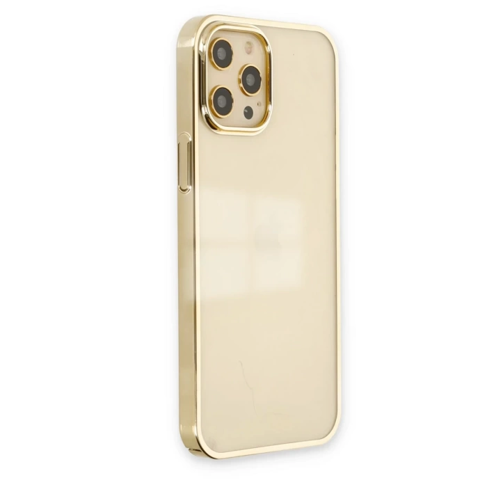 Newface iPhone 12 Pro Max Kılıf Element Silikon