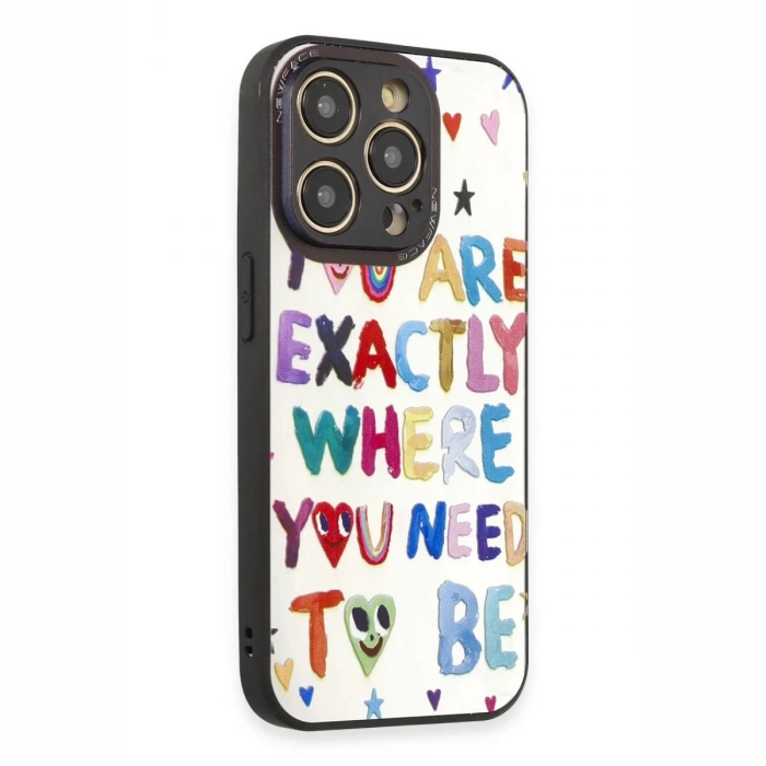 Newface iPhone 12 Pro Max Kılıf Mirror Desenli Kapak