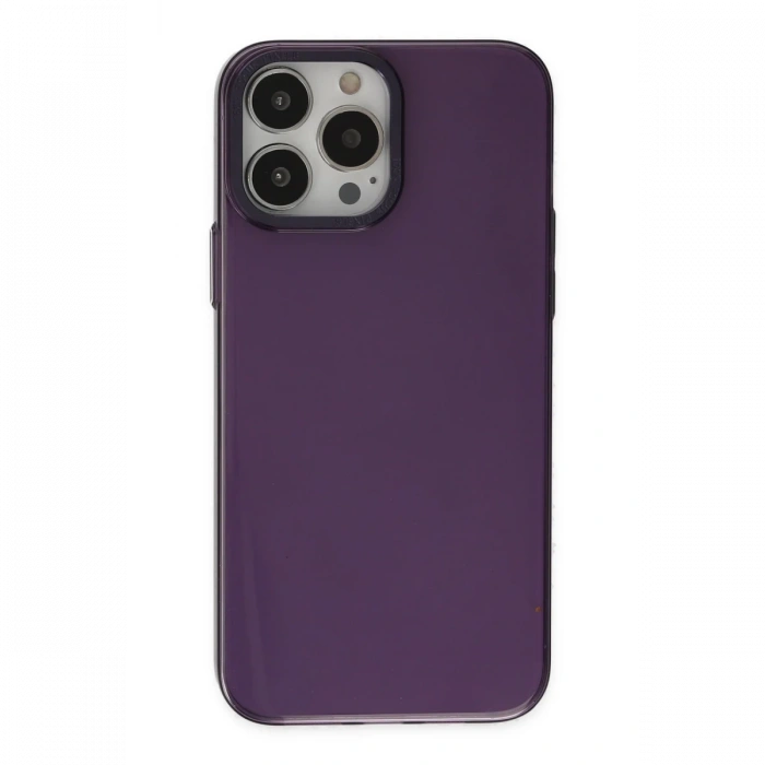 Newface iPhone 13 Pro Max Kılıf Anka PC Sert Metal Kapak