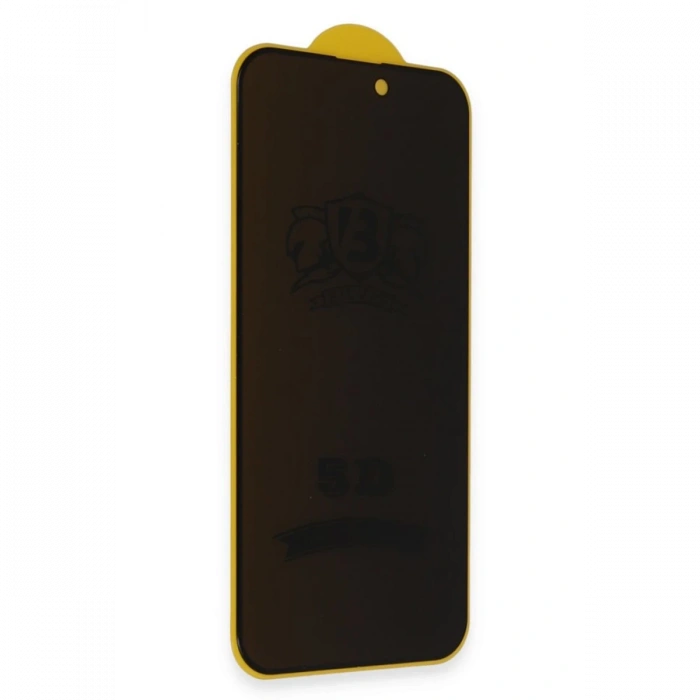 Newface iPhone 16E Bilvis 3D Hayalet Cam Ekran Koruyucu