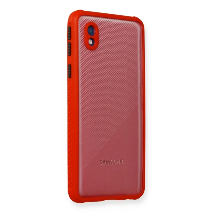Newface Samsung Galaxy A01 Core Kılıf Miami Şeffaf Silikon