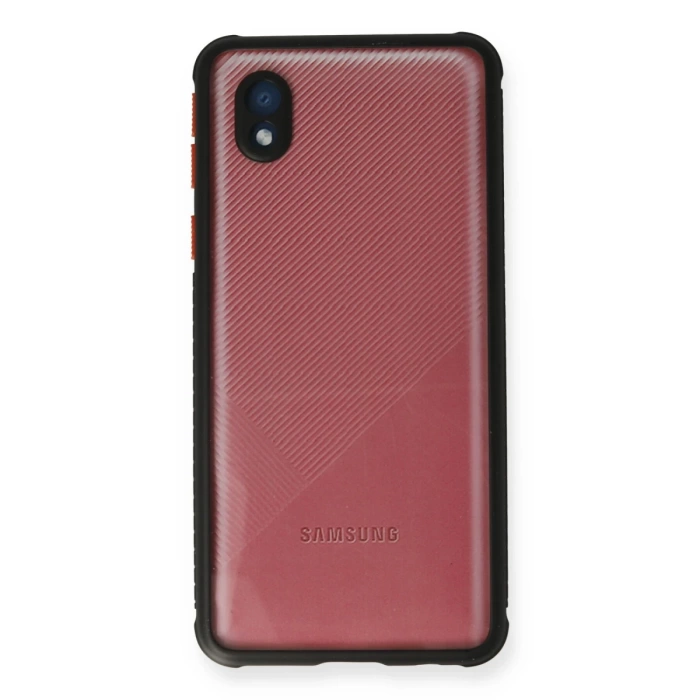 Newface Samsung Galaxy A01 Core Kılıf Miami Şeffaf Silikon