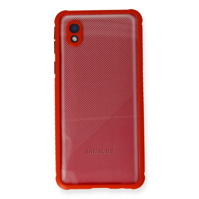 Newface Samsung Galaxy A01 Core Kılıf Miami Şeffaf Silikon