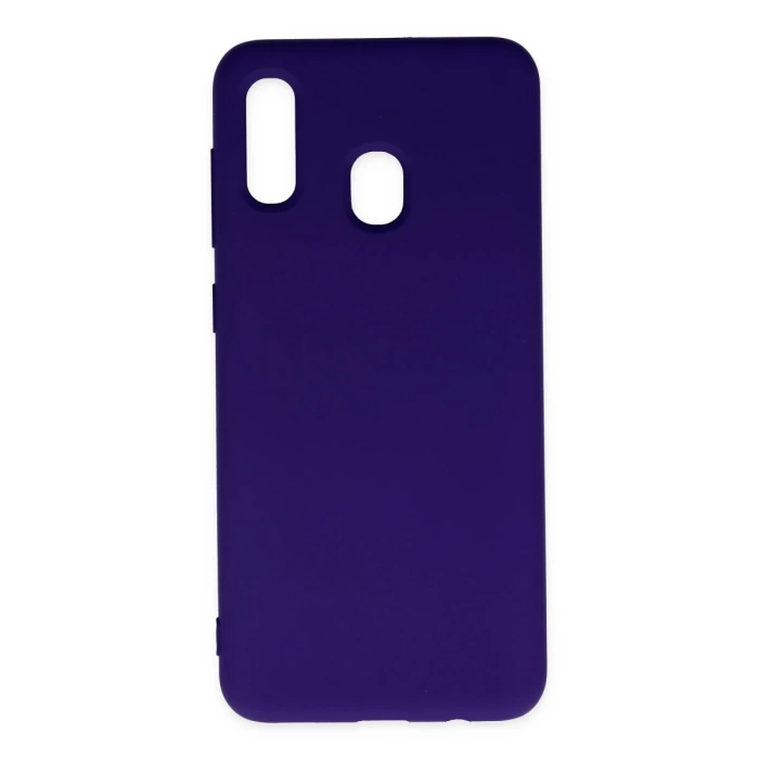 Newface Samsung Galaxy A20 Kılıf Nano içi Kadife Silikon