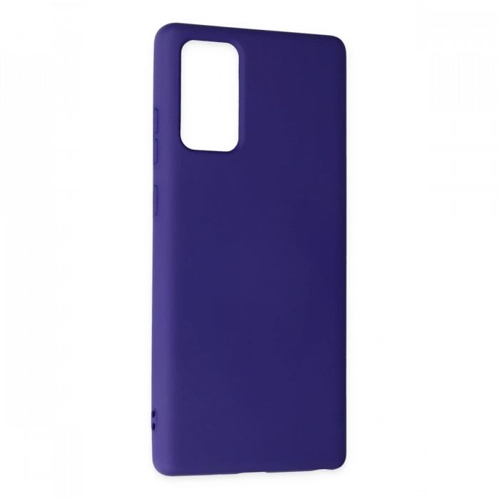 Newface Samsung Galaxy Note 20 Kılıf Nano içi Kadife Silikon
