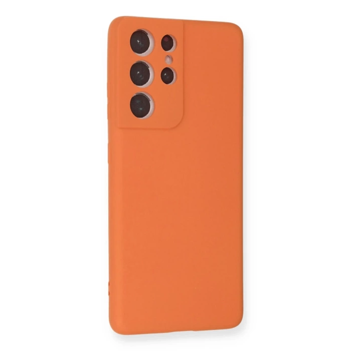 Newface Samsung Galaxy S21 Ultra Kılıf Nano içi Kadife Silikon