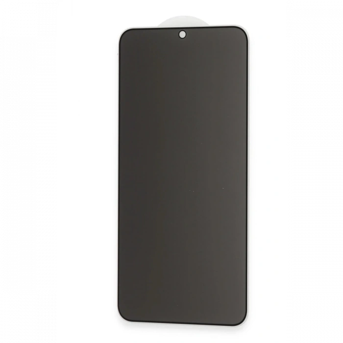 Newface Samsung Galaxy S22 Plus Hayalet Edge Cam Ekran Koruyucu