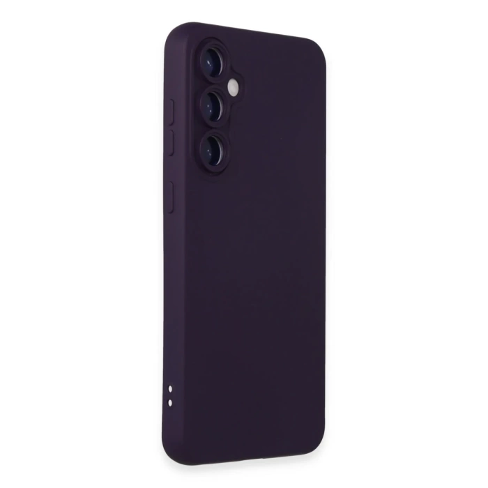 Newface Samsung Galaxy S24 Kılıf Nano içi Kadife Silikon - Mor