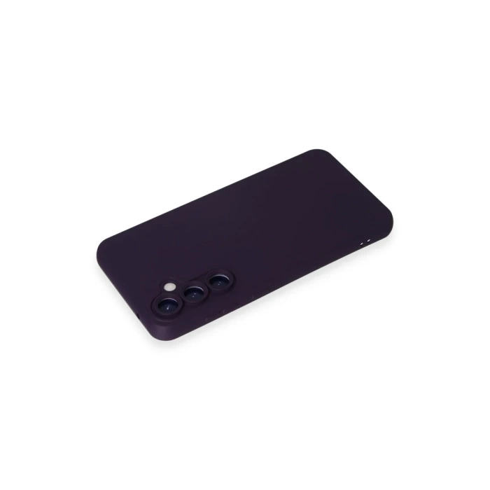 Newface Samsung Galaxy S24 Kılıf Nano içi Kadife Silikon - Mor