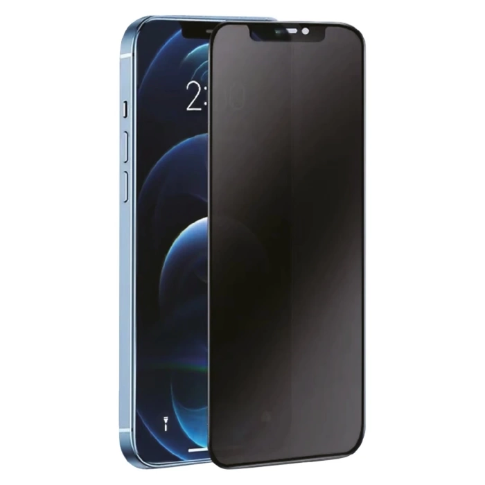 Newface Samsung Galaxy S24 Plus 3D Antistatik Hayalet Cam Ekran Koruyucu