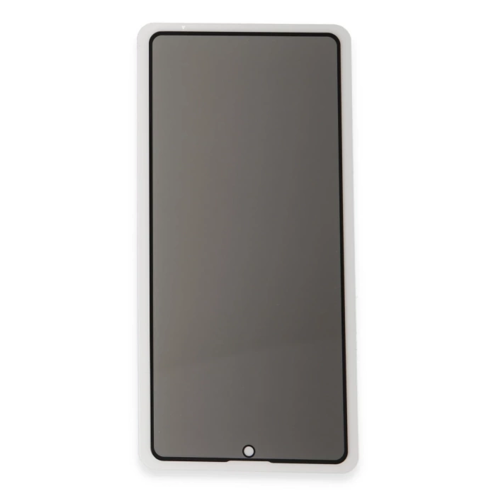 Newface Samsung Galaxy S24 Plus 3D Antistatik Hayalet Cam Ekran Koruyucu