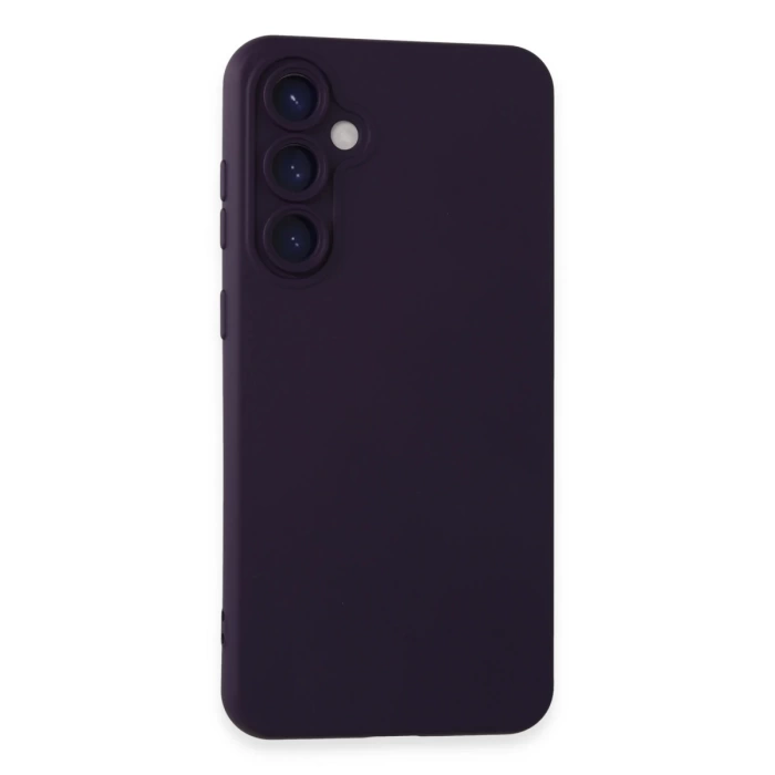 Newface Samsung Galaxy S24 Plus Kılıf Nano içi Kadife Silikon - Mor