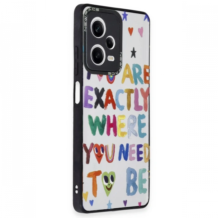 Newface Xiaomi Redmi Note 12 Pro 5G Kılıf Mirror Desenli Kapak