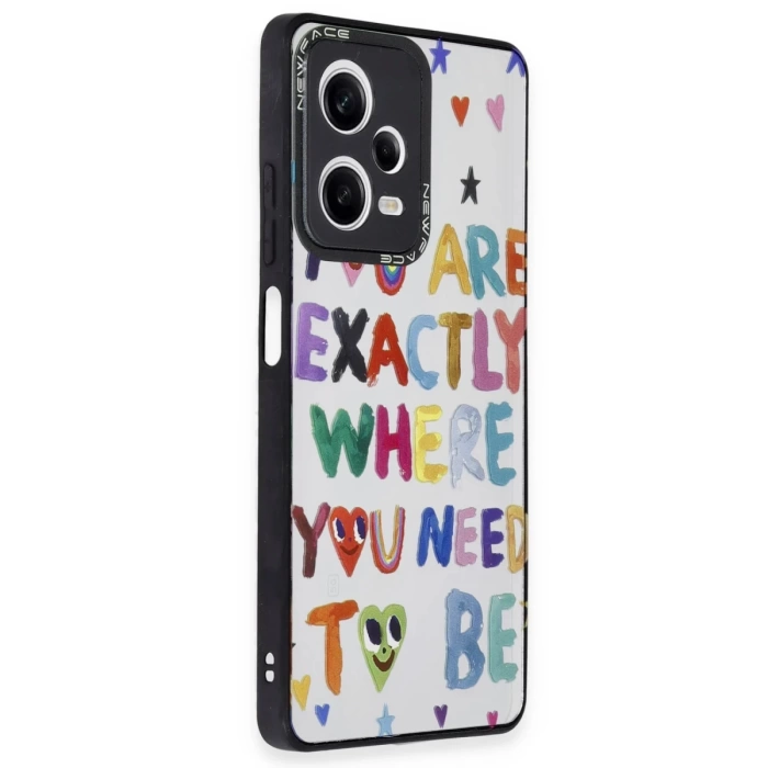 Newface Xiaomi Redmi Note 12 Pro 5G Kılıf Mirror Desenli Kapak
