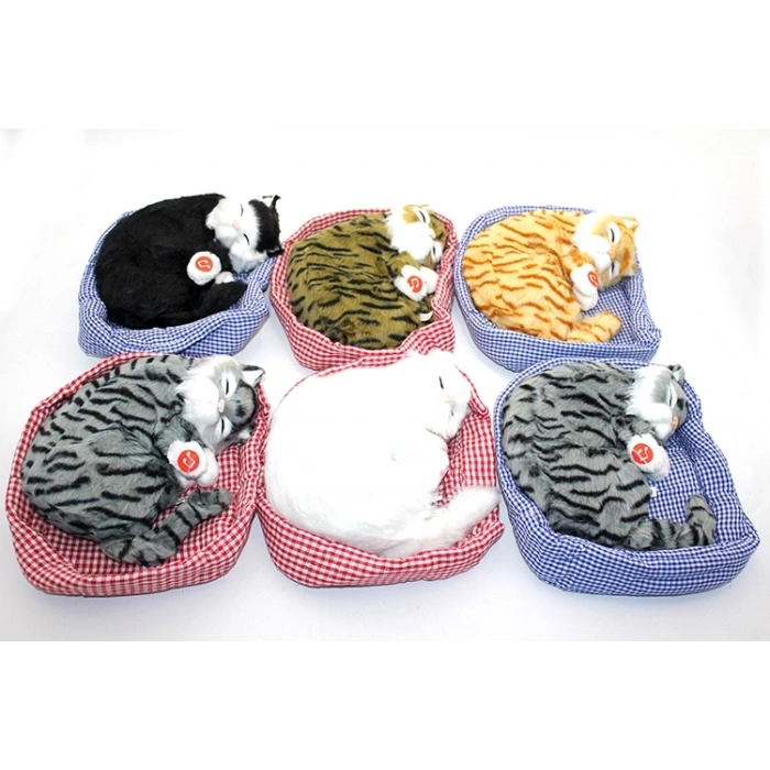 Yastıkda Uyuyan Horlayan Kedi Sesli Alk3416