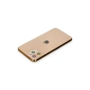 Newface iPhone 11 Pro Renkli Kamera Lens Koruma Cam