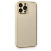 Newface iPhone 13 Pro Kılıf Coco Deri Silikon Kapak - Gold