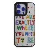 Newface iPhone 15 Pro Max Kılıf Mirror Desenli Kapak