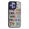 Newface iPhone 15 Pro Max Kılıf Mirror Desenli Kapak