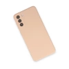 Newface Samsung Galaxy S21 Plus Kılıf Nano içi Kadife Silikon - Pudra