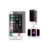 Newface Samsung Galaxy S24 Bilvis Hayalet Cam Ekran Koruyucu