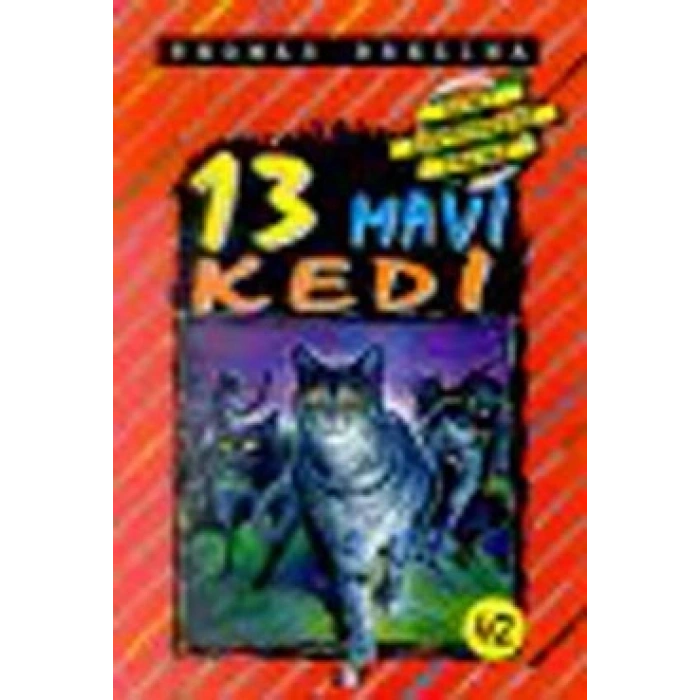13 Mavi Kedi